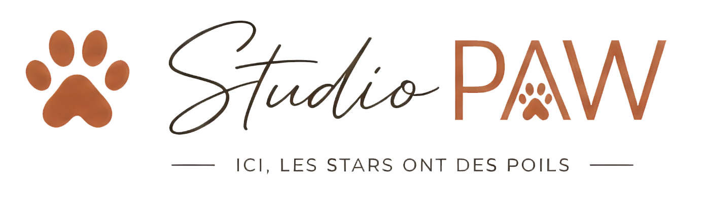 Studio PAW — ici, les stars ont des poils